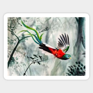 Quetzal Flying in Misty Forest Sticker